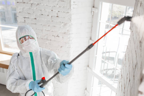 Best Mold Documentation for Insurance Claims  in Irvine, CA