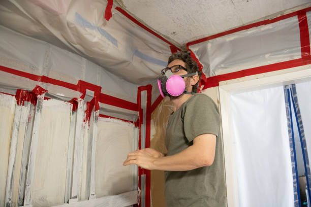 Trusted Irvine, CA Mold Removal Experts