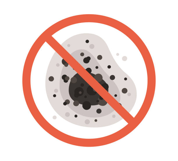 Best Commercial Mold Inspection  in Irvine, CA